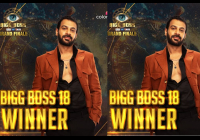 बिग बॉस के लाडले को हराकर करणवीर मेहरा बने Bigg Boss 18 के विनर