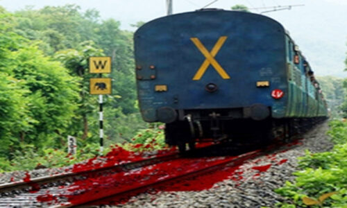 बिहार में ट्रेन से कटकर महिला और 2 बच्चों की मौत