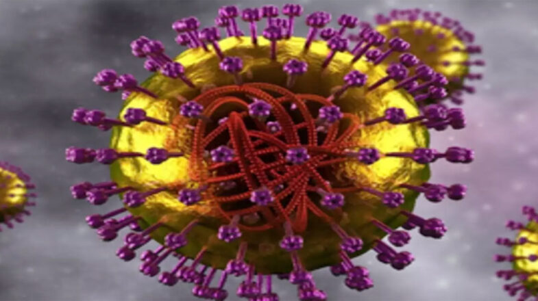 वैज्ञानिकों ने खसरा वायरस के मस्तिष्क में फैलने की वजह बताई