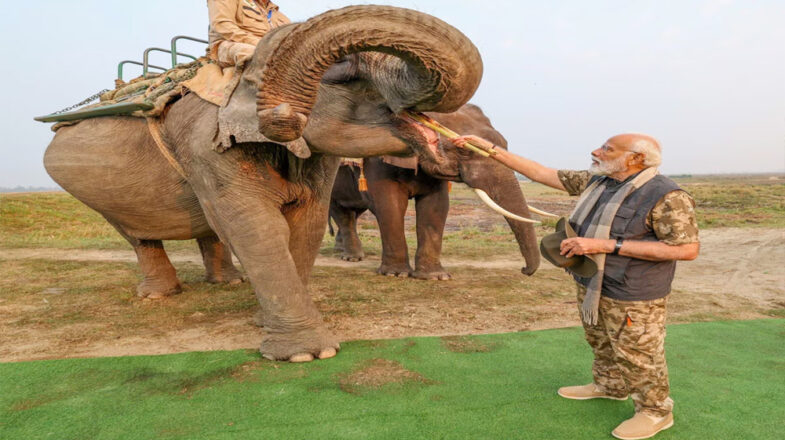 काजीरंगा नेशनल पार्क में PM मोदी ने की हाथी की सवारी