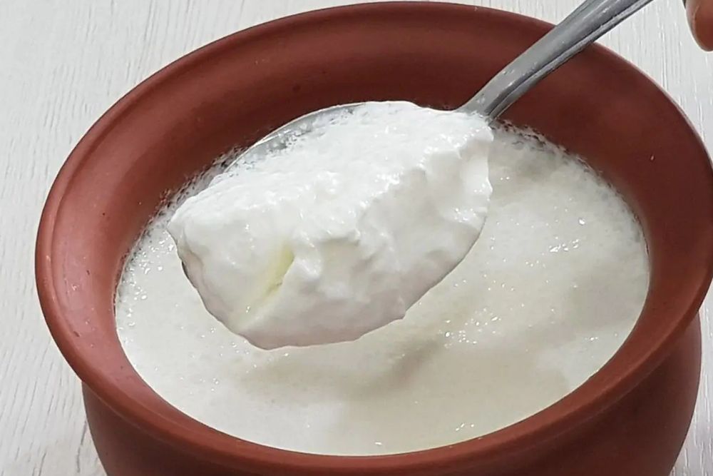 Curd