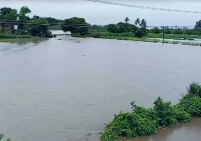 Gujarat Rains: गुजरात में भारी बारिश से बाढ़ जैसे हालात, कई ट्रेनें रद्द