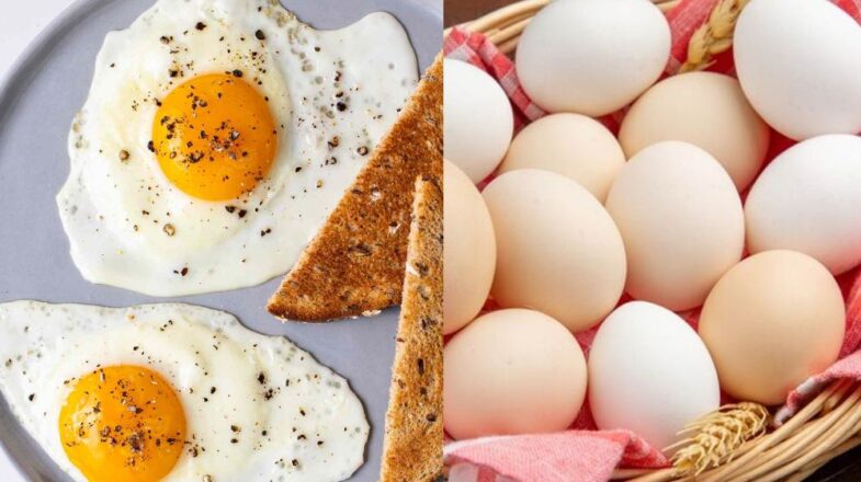 Eggs: सर्दी में शरीर को रखना है गर्म तो रोज खाएं अंडे, जानें एक दिन में कितने खाएं…